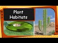 Plant Adaptations and Habitats