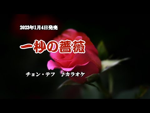 『一秒の薔薇』チョン・テフ　カラオケ　2023年1月4日発売