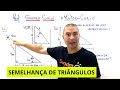 Similar Triangles and Proportions
