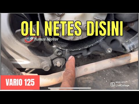 Cara mengatasi oli rembes di bawah radiator vario 125