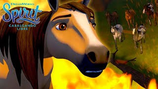 Lucky y La Cálida Bienvenida | SPIRIT CABALGANDO LIBRE