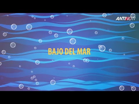 BAJO DE MAR [Video Parodia] | Antinoti