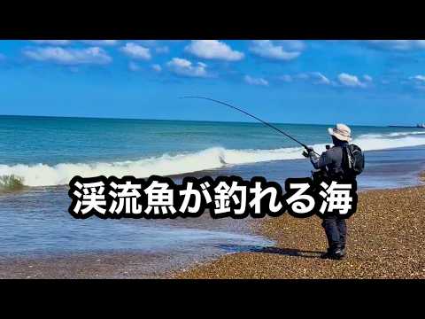 でっかい渓流漁が海で釣れる!