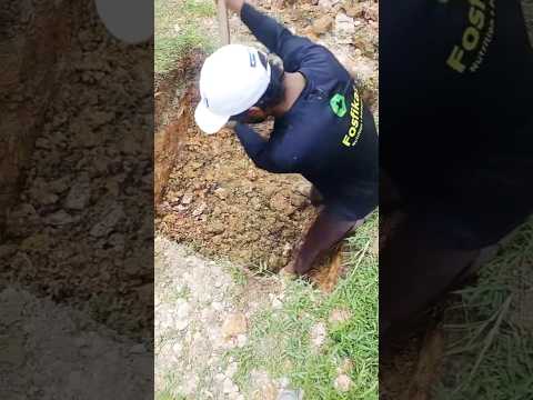 Hard work Malaysia 💪#youtubeshorts #trending #work #hardwork #shortvideo #shorts #short #workshorts