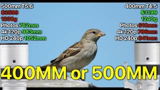 Fuji 400mm f4.5 or 500mm f5.6: The One I WOULDN'T Buy