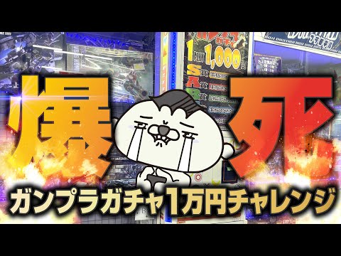 ガンプラガチャ夏の1万円チャレンジ！爆死確定か！？