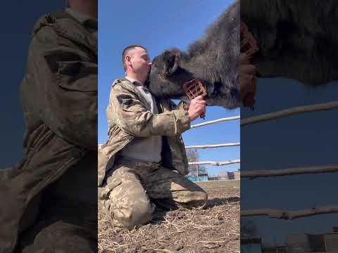 15 марта 2026 г.