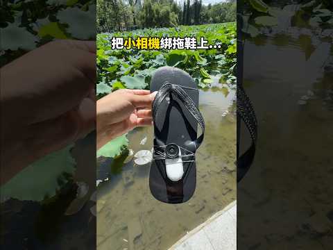 你說，荷塘裡的小魚每天都在想什麼呢？#insta360go3s #insta360 #bts #錄影師 #專業拍攝