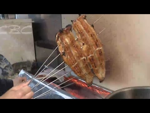｢土用の丑の日｣で消費量が伸びるウナギ　注目を集める養殖の新技術　エサに混ぜると大きくて美味しい｢かば焼き｣が　愛知