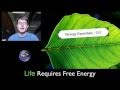 Biology Essentials: Free Energy