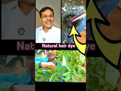 இயற்கையான hair dye இது!?