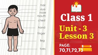 Class 1 English | Unit 3 | Lesson 3 | Classroom Instructions 3 [Book 2025]