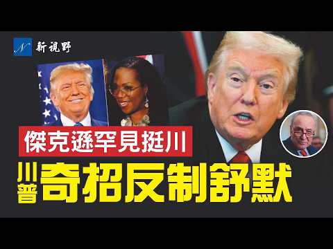 川普贏SNAP高院 上訴,傑克遜大法官倒戈?川普奇招反擊舒默:取消保險公司,把錢發給人民!#川普 #舒默 #SNAP | 新視野 第2035期 20251109