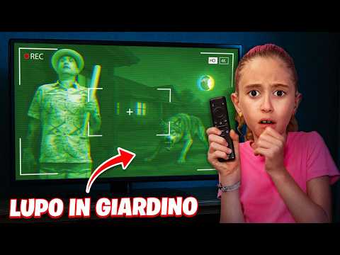 GIORGIA SCOPRE DALLE TELECAMERE CHE UN LUPO È ENTRATO NEL GIARDINO DI CASA NOSTRA ALLE 3 DI NOTTE!