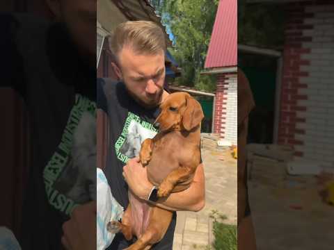 В конце всё-таки приоткрыли дверь🤣