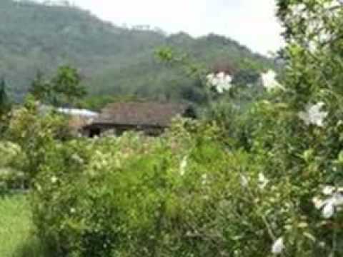 Bukit Berbunga - Uci Bing Slamet.mp4