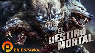 EL DESTINO MORTAL | PELÍCULA DE ACCIÓN COMPLETA EN ESPANOL LATINO | PELICULAS+