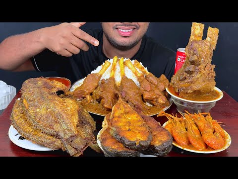 SPICY MUTTON CURRY, BEEF CHAAP CURRY, SRIMP CURRY, WHOLE FISH FEY WITH RICE EATING ASMR