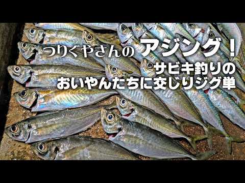 アジング！サビキ釣りのおいやんたちに交じりジグ単！（つりぐやさん）｜アジング ジグ単 和歌山 釣り