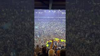 Everton Best Fans In The world #football #shorts #premierleague