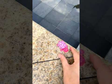 彼女はそれがキャンディーだと思った...しかしそれは本物のカメだった！🐢🍬😅