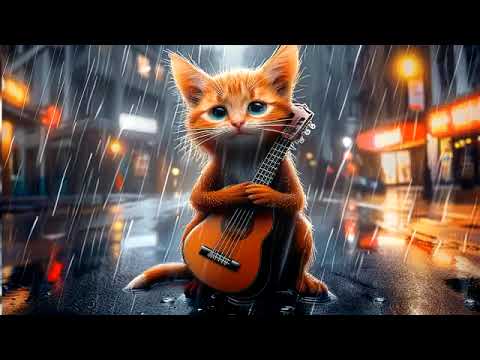 Sad Story 😿😭Out of tune Bullied Sad Kitten Guitar Player becomes a Superstar Cat 😿😻#cat