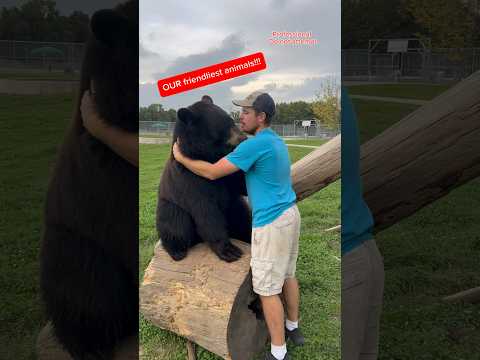 The friendliest animals I work with! #animals #animalsofyoutube #coolanimals