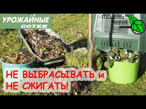 Погодите, не выбрасывайте! Вот чем надо укрывать растения! Отходы превращаем в удобрение и мульчу!