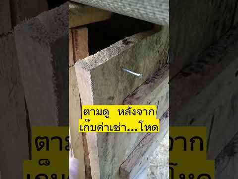เก็บน้ำผึ้งไป  ตัวผึ้งจะยังอยู่ไหม...ต้องทำอะไรไหม #เกษตร #บ้านและสวน #เกษตรพอเพียง #สวน