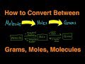 Converting Molecules, Moles, and Grams: Key Concepts and Practice