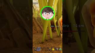 Les Bugs sur GROUNDED 2 #foryou #twitchfr #grounded