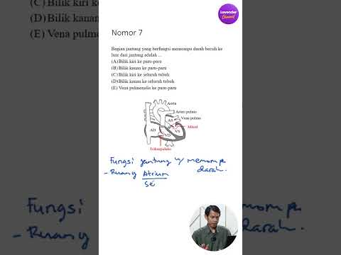 “Jangan Lewatkan Materi Ini! Selalu Keluar di UTBK 🔥