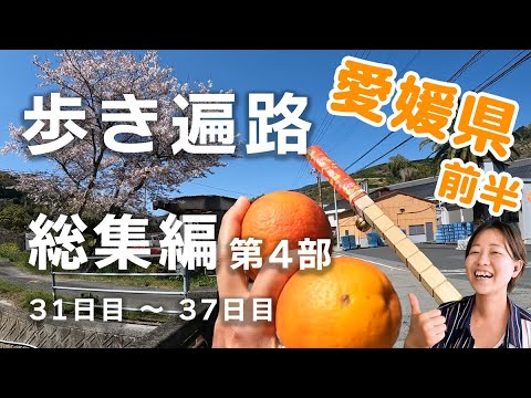 【歩き遍路】総集編 第4部 愛媛県（前半） 31日目～37日目　四国８８ヶ所  40番 観自在寺 ～ 45番 岩屋寺（全55日）