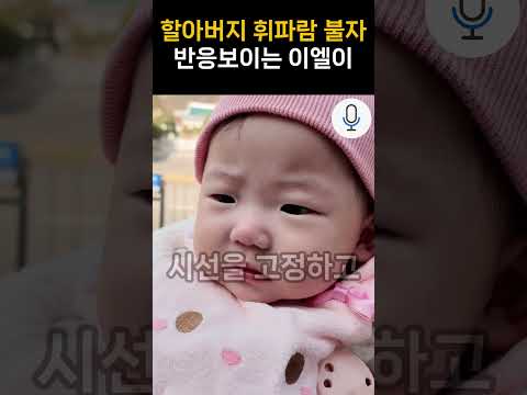 이용식 손녀 <strong>이엘</strong> 휘파람에 반응 발칵