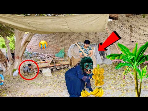 Gorilla Trap Se Bhag Gaya ? 2 Bachon Ko Sath Le Gaya ?
