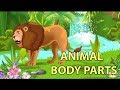 Animal Characteristics and Body Parts
