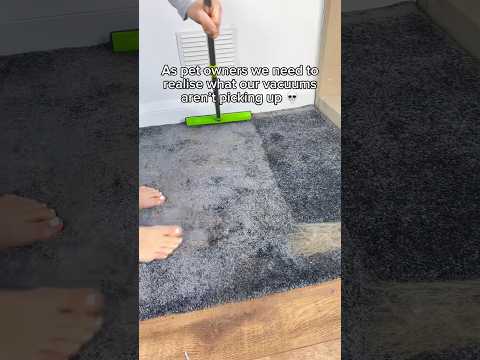 I literally vacuumed yesterday?! 😳 #pethairremoval #cleantok #cleaninghacks #pets