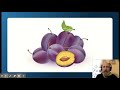 Understanding the Word 'Plum'