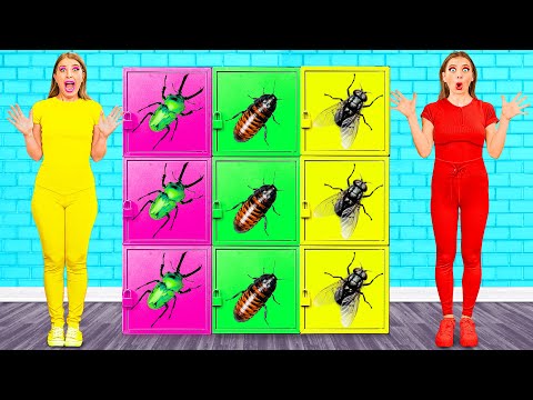 Desafío de Caja Misteriosa de Colores | Gadgets Inteligentes vs Hacks de BaRaDa Challenge