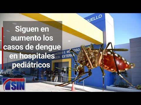 Siguen en aumento los casos de dengue en hospitales pediátricos del Gran Santo Domingo