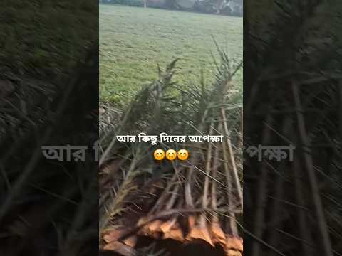 কে কে চিনতে পারছেন #shorts