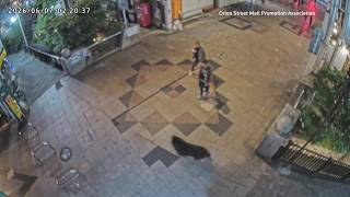 YouTube video thumbnail: Japanese City Suspends 94 Schools After First Bear Sighting