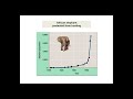 Exponential and Logistic Growth Concepts