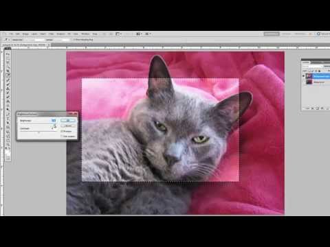 photoshop selection tools 002 invert selection