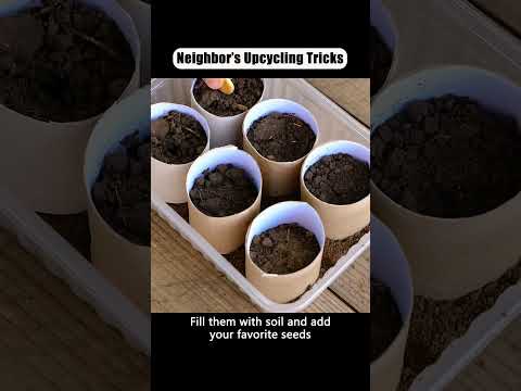 Neighbor’s Upcycling Tricks #lifetips #lifehacks #reallifehacks #youtube #fyp