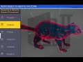 Animal Adaptations and Homeostasis Strategies
