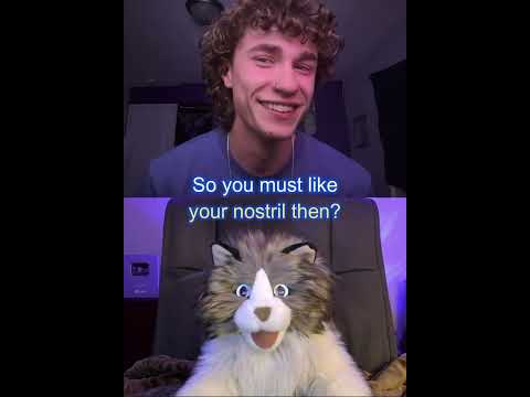 Blue Eyes (Comedy Cat) #comedyvideos #funny #shorts