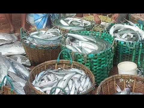 Wholesale market of sea fish