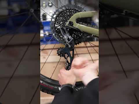 Quick-Fire How To Install A Rear MTB Wheel! 🛠️🛞