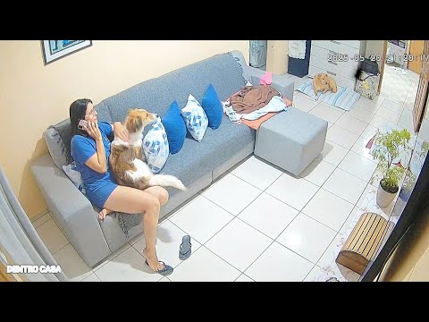 Las cámaras de seguridad grabaron esto y es difícil de explicar ! 7 Videos de miedo y lo desconocido